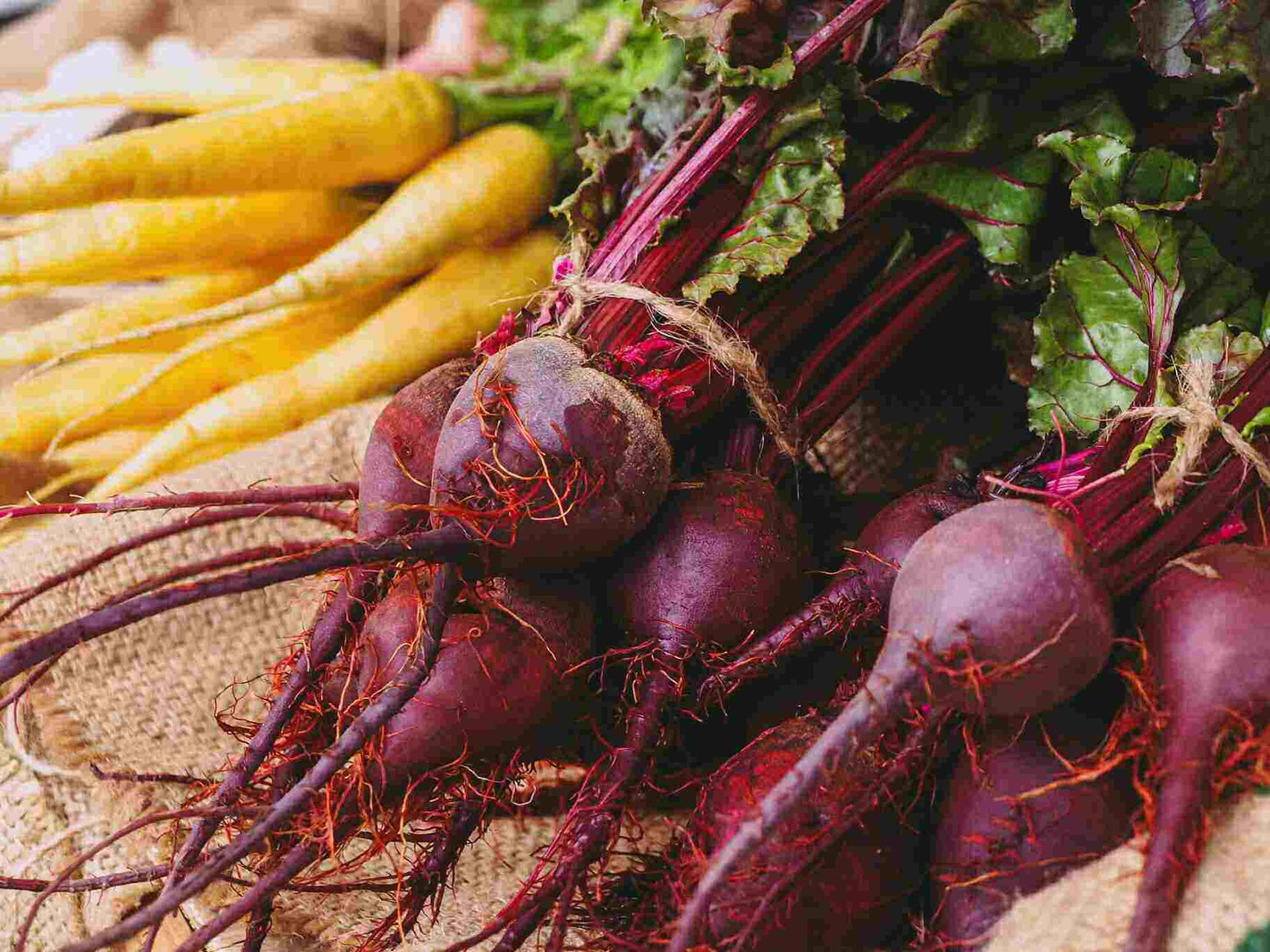 beets and carrots soup recipe ingredients